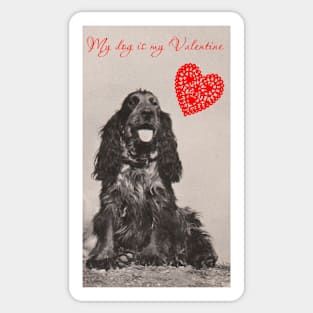 My Dog is my Valentine (Spaniel) Sticker